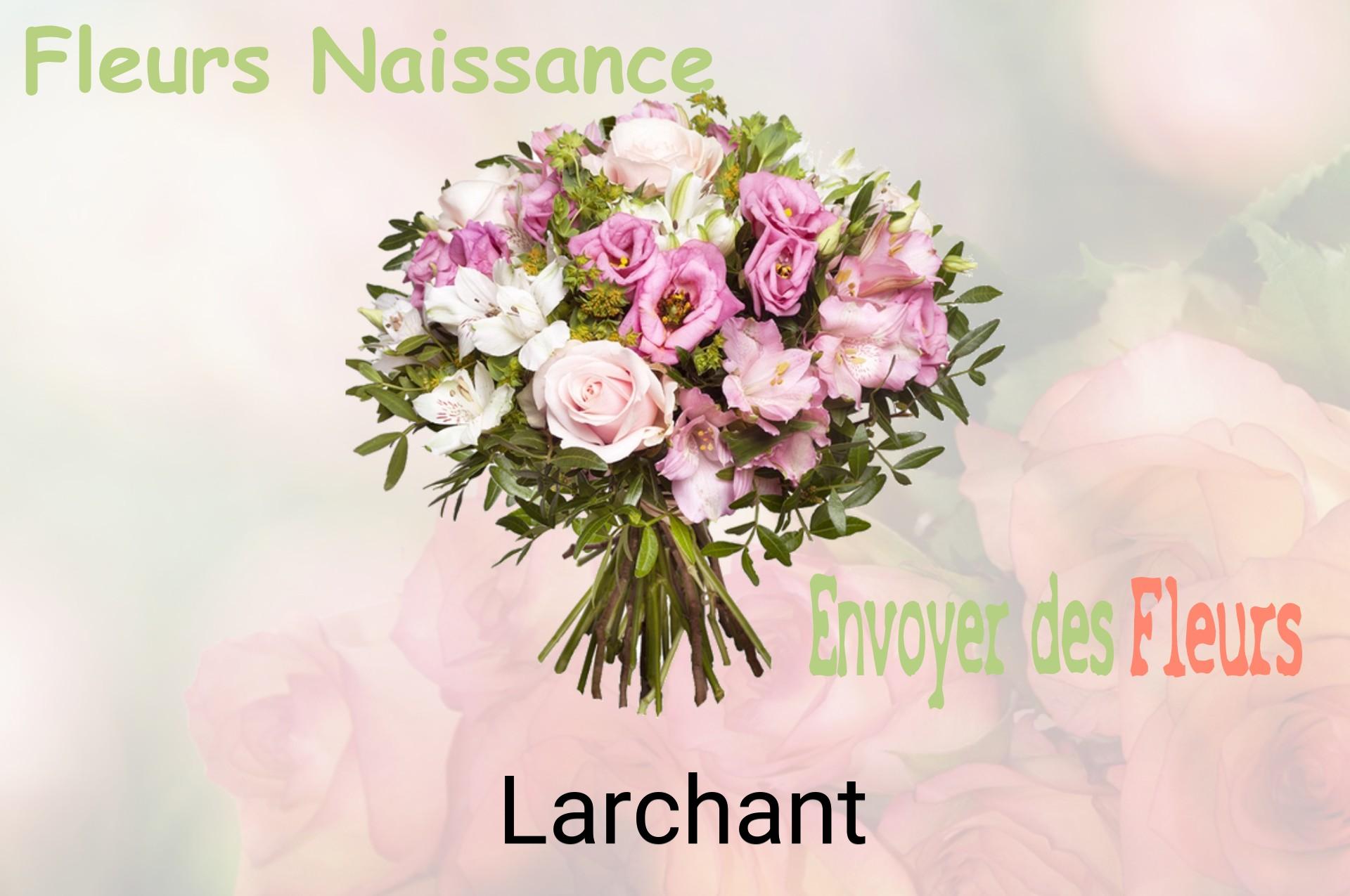 Bouquet de fleurs de naissance livré à Larchant